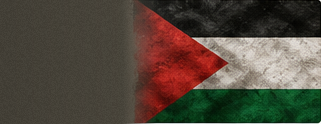 Palestine-Inspired Designs collection